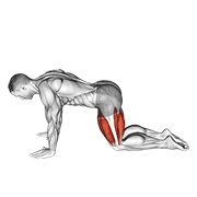 Étirement quadriceps à quatre pattes