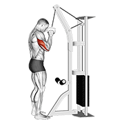 Extension triceps poulie
