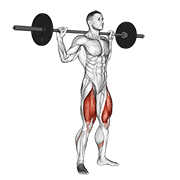 Squat barre