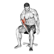 Leg Curl poids de corps