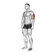 Étirement triceps