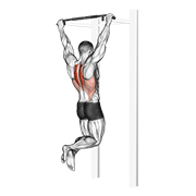 Traction scapulaire