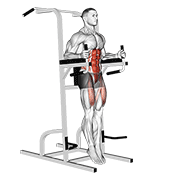 Relevé de Jambes Chaise Romaine