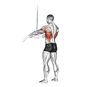 Tirage bras tendus