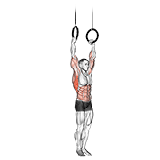 Muscle Up Anneaux