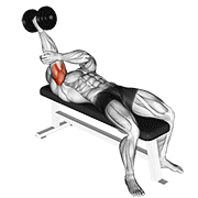 Extension triceps couché supination
